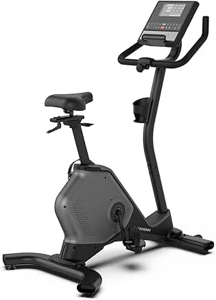 Scwinn upright bike